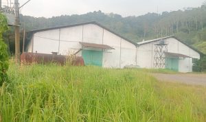 IMG-20260804-WA0002