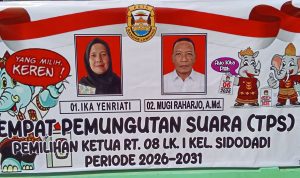 0-3248x1488-0-0-{}-0-0#